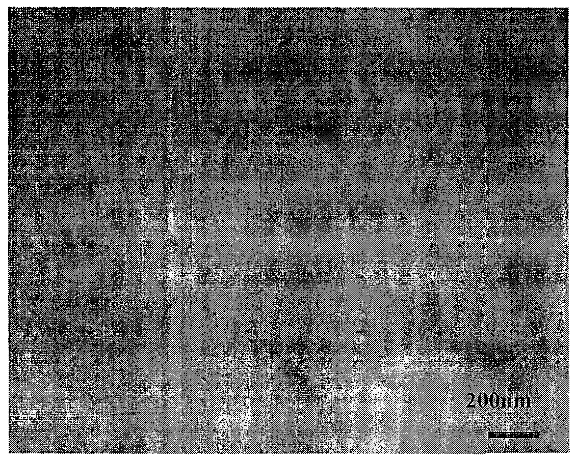 Directional arrangement method for nickel-supported multi-walled carbon nanotubes