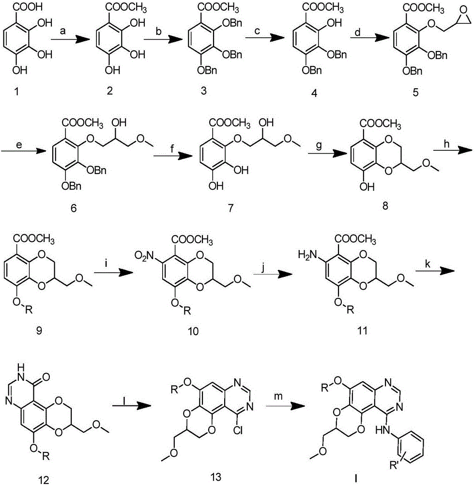 Dioxanoquinazoline amine compound and preparation method thereof, and application of dioxanoquinazoline amine compound as epidermal growth factor receptor inhibitor