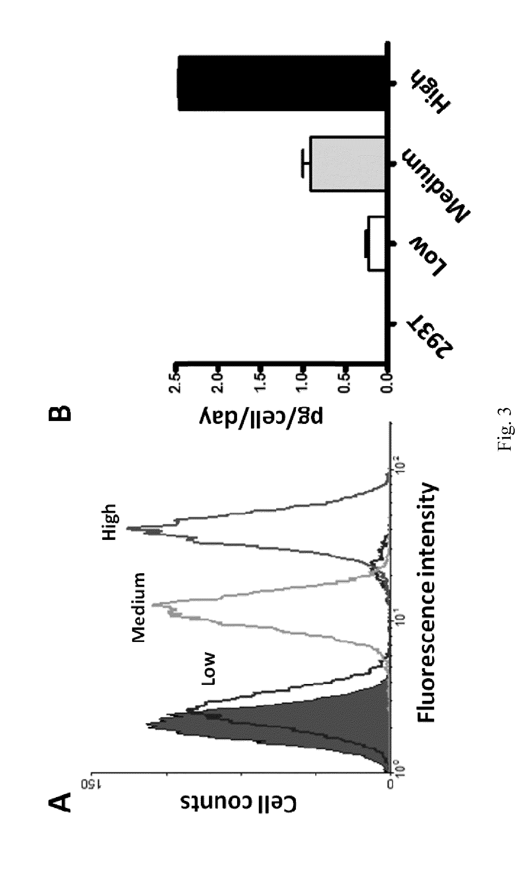 Method of high-throughput sorting of high expression cell and cells sorted therefrom