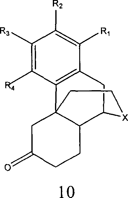 Processes for preparing morphinans and intermediates thereof