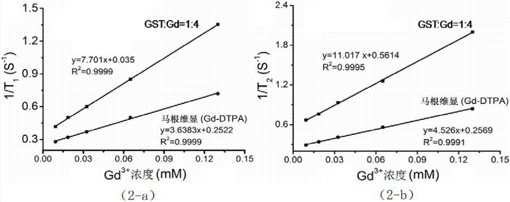 Magnetic resonance contrast agent using human endogenous protein as chelating agent and preparation thereof