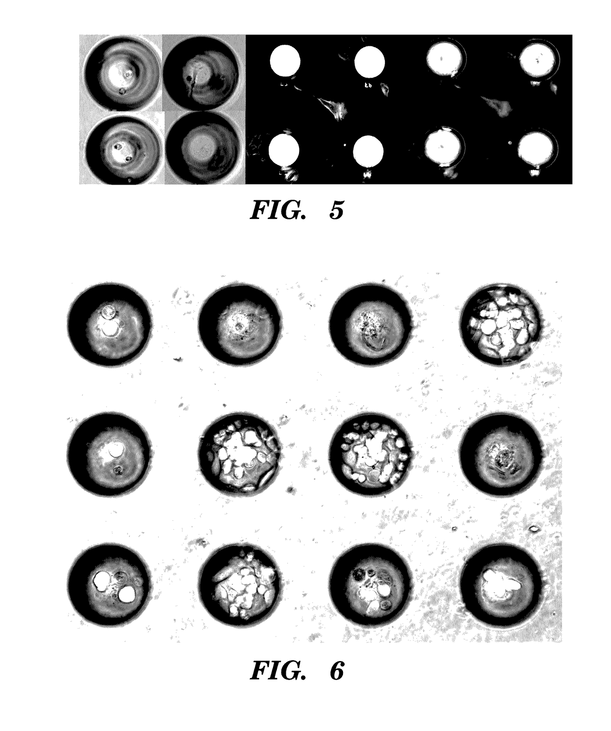 High-throughput cellular analysis using microbubble arrays