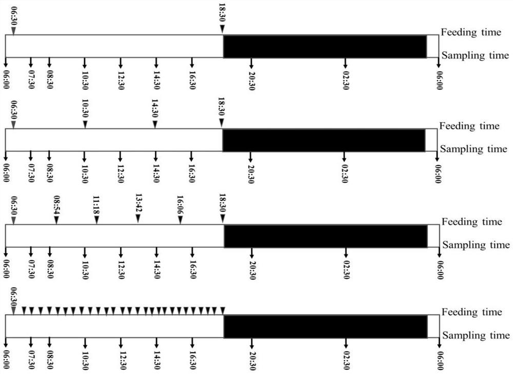 Takifugu rubripes gastrointestinal emptying parameter evaluation method