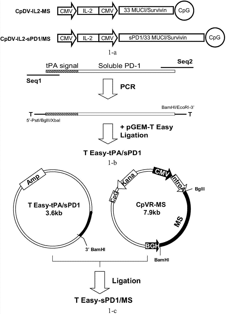 Recombinant vaccine and application thereof