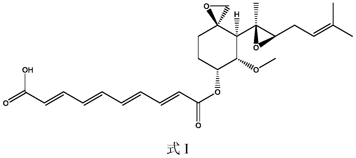 A kind of penicillium and method for producing fumagillin