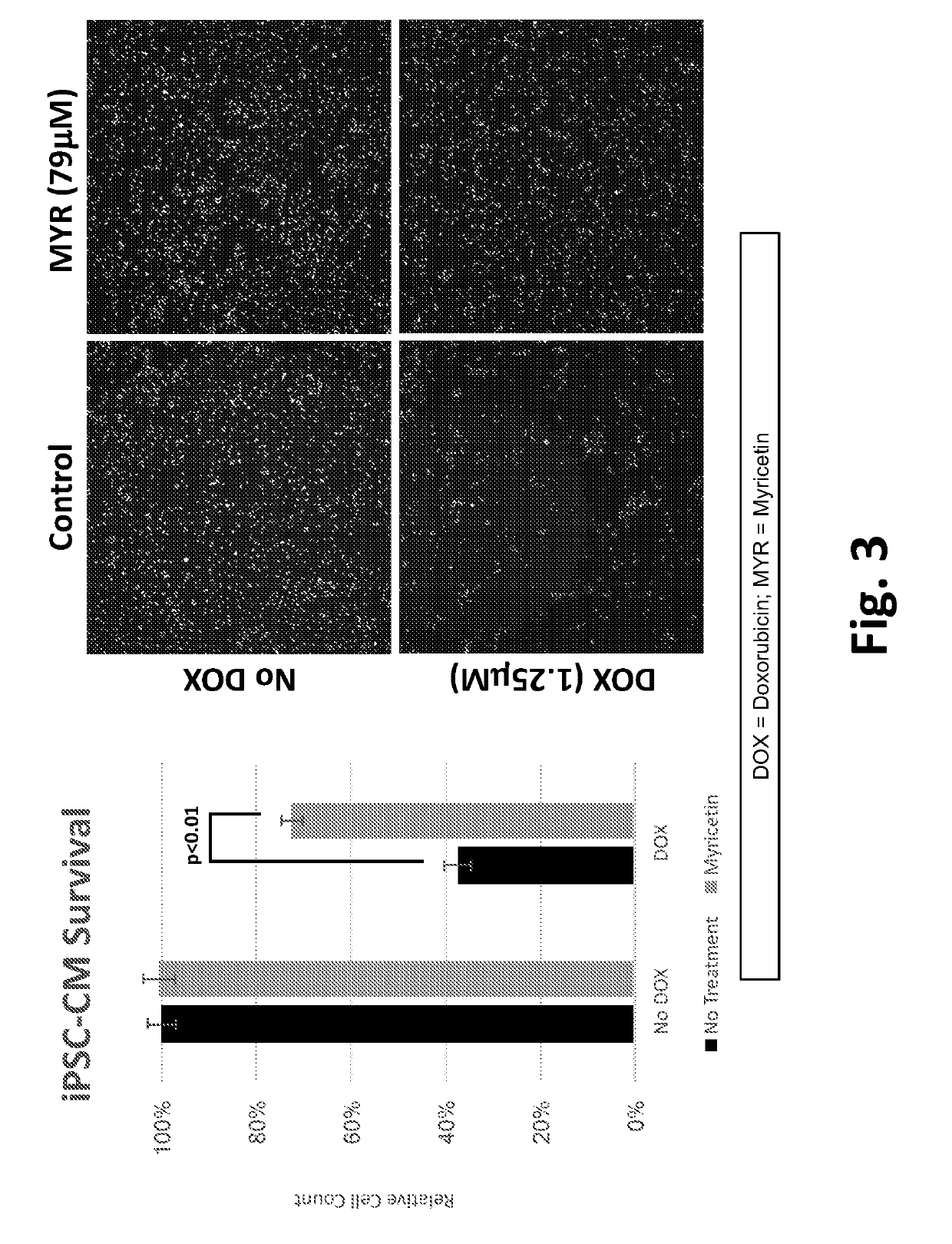 Pharmaceutical Compositions and Methods for Countering Chemotherapy Induced Cardiotoxicity