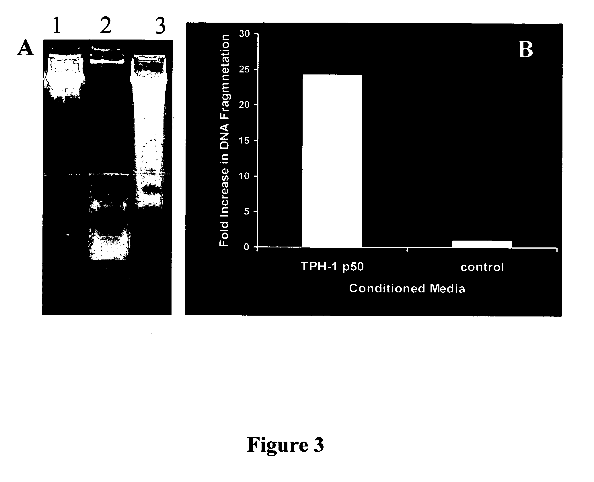 Compositions and methods for inhibiting liver stellate cell growth