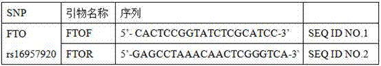 Primers for detecting polymorphism of FTO rs79206939 gene and PCR (polymerase chain reaction) method