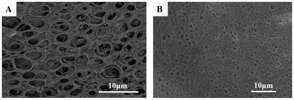 Preparation method of cellulose acetate-based composite membrane and application of cellulose acetate-based composite membrane in dynamic separation and extraction of tellurium