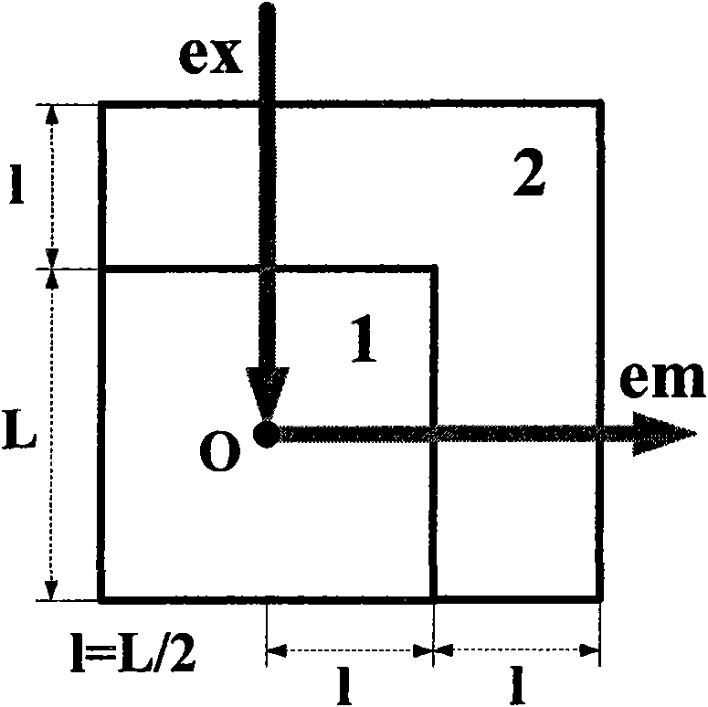 Novel device for removing inner filtering effect in fluorimetric determination and novel testing method