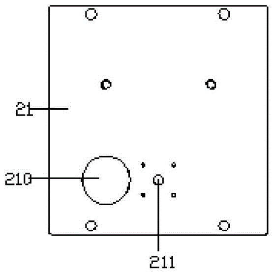 Pearl feeding and image capturing device for sorting pearl luster