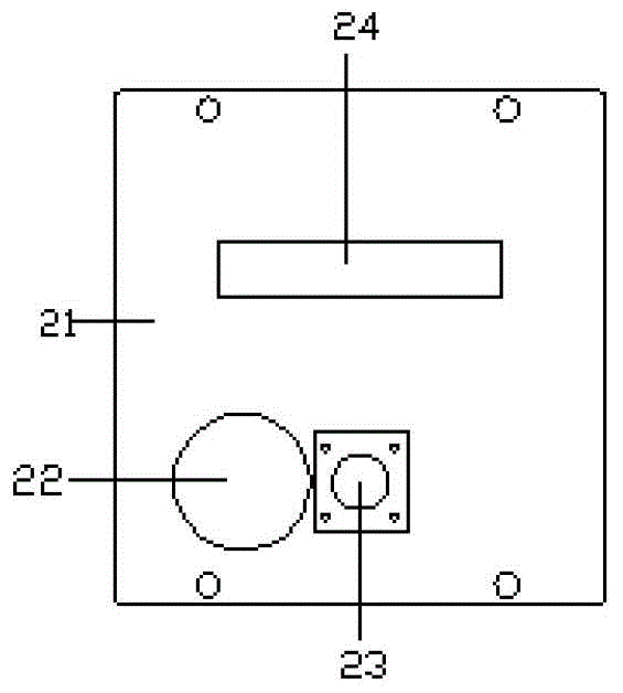 Pearl feeding and image capturing device for sorting pearl luster