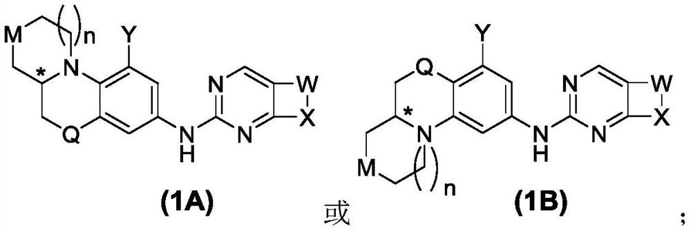 Pyrimidine derivative used as Wee1 inhibitor