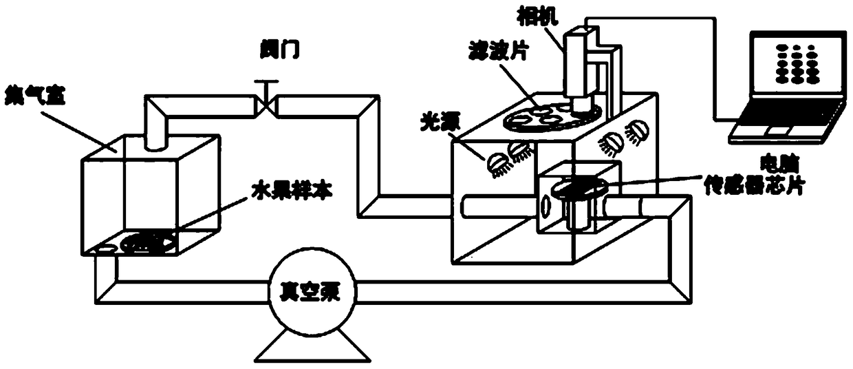 A rapid identification method of slightly rotten fruit based on odor spectrum imaging technology