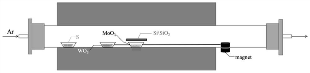 Method for preparing two-dimensional transition metal chalcogenide in-plane heterojunction