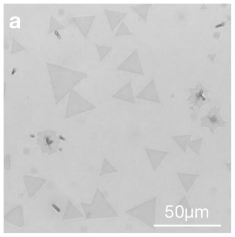 Method for preparing two-dimensional transition metal chalcogenide in-plane heterojunction