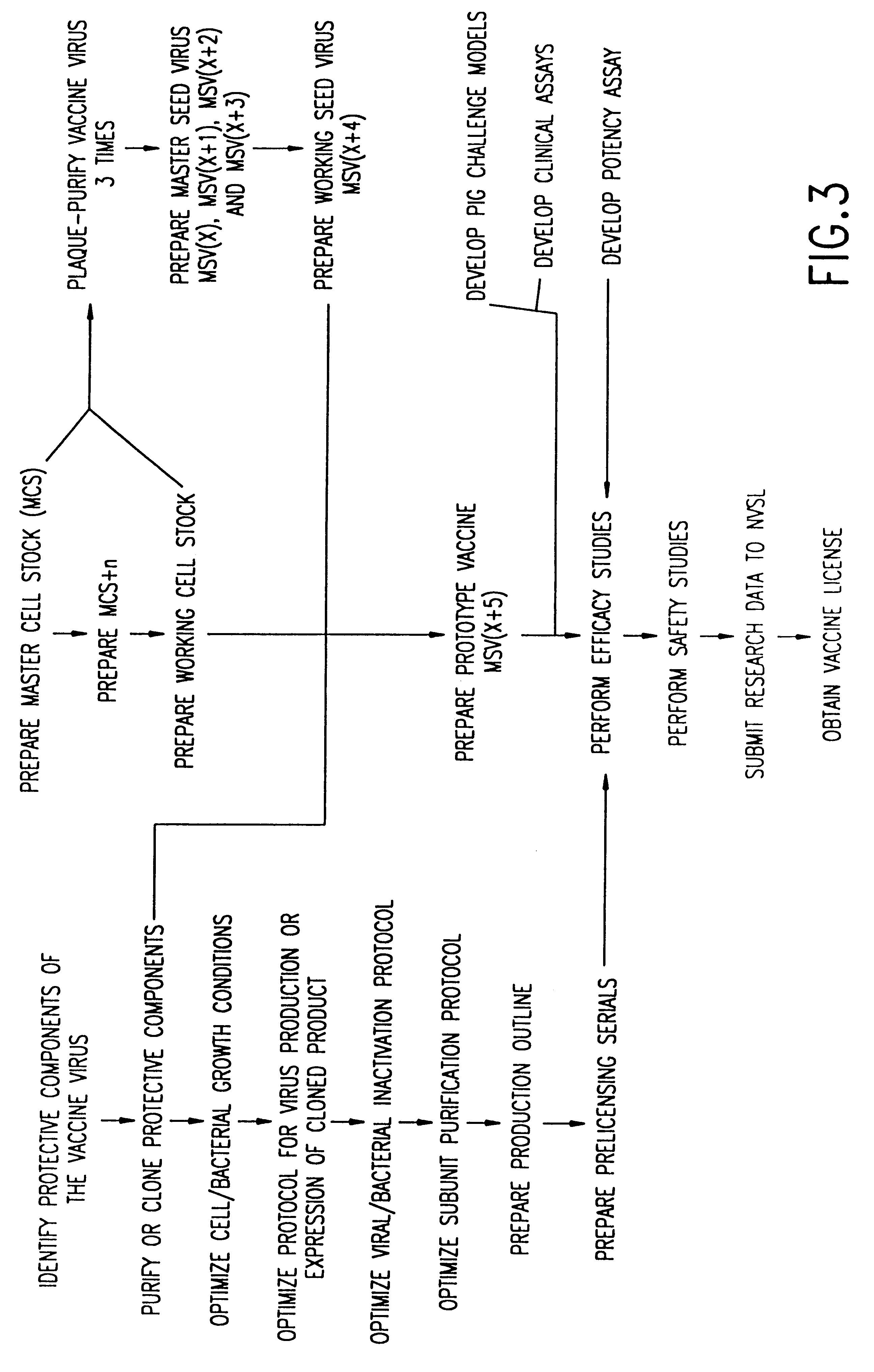 Method of producing a vaccine which raises an immunological response against a virus causing a porcine respiratory and reproductive disease