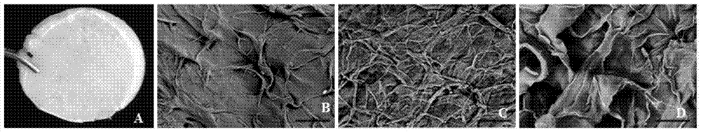 Collagen-chitosan tissue engineering scaffold compounded with tβ4 and its preparation method and application