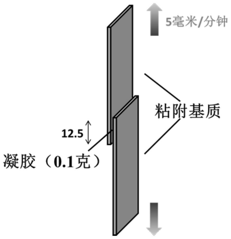 Nanocomposite conductive adhesive hydrogel and its preparation method and application