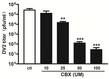 Application of carbenoxolone in preparing anti-dengue virus medicine