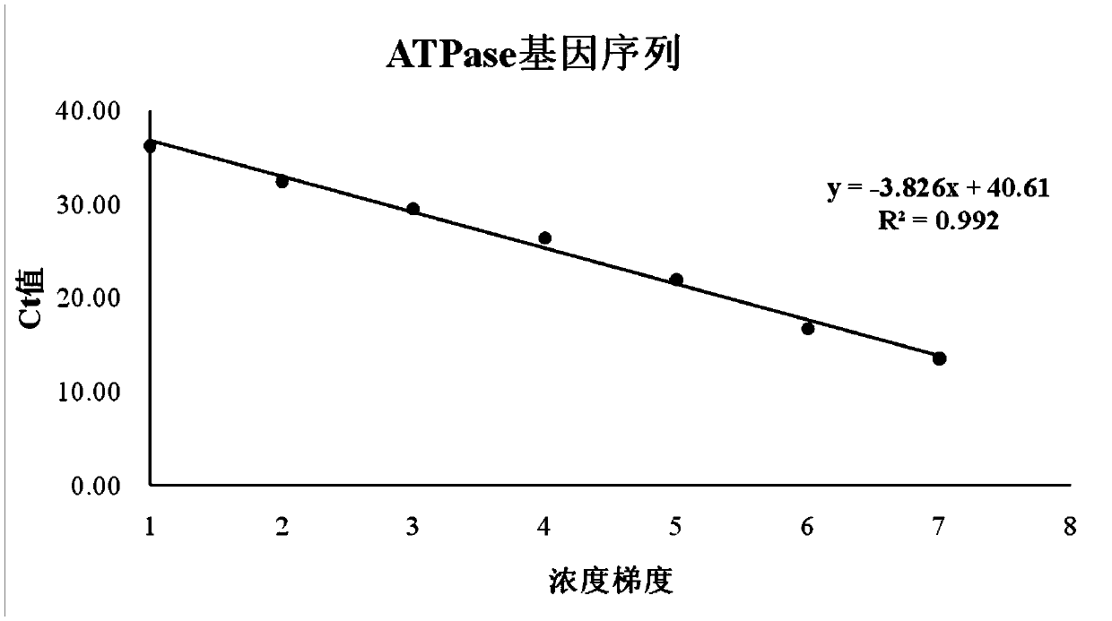 Fluorescent quantitative PCR method for detecting infectious spleen and kidney necrosis virus of mandarin fish and corresponding kit