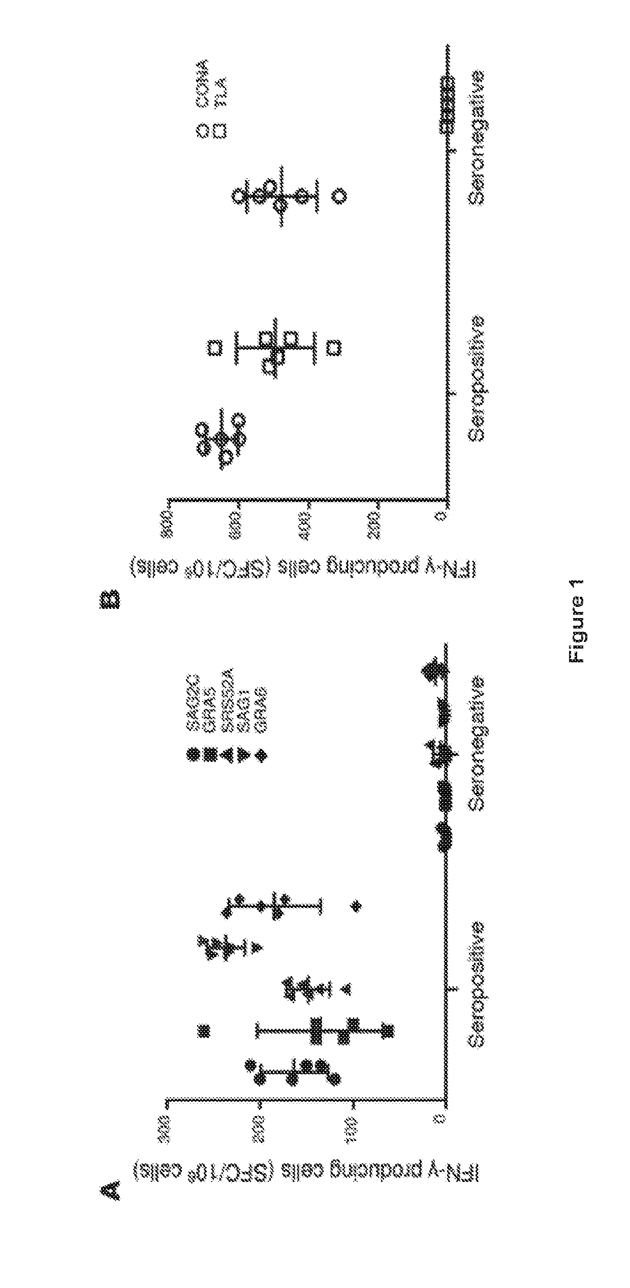 Toxoplasma gondii vaccines and their use