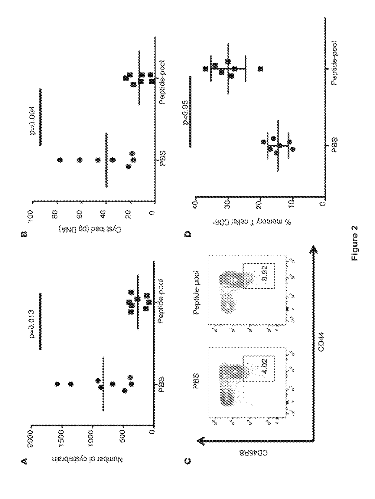 Toxoplasma gondii vaccines and their use