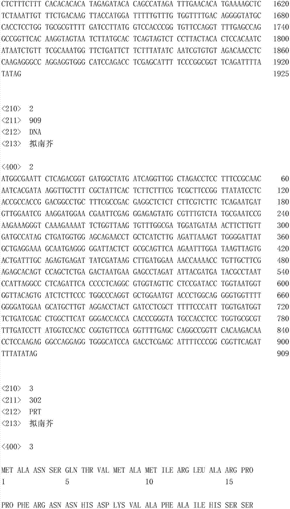 An application of a PTRE1 gene in regulation and control of plant heat resistance