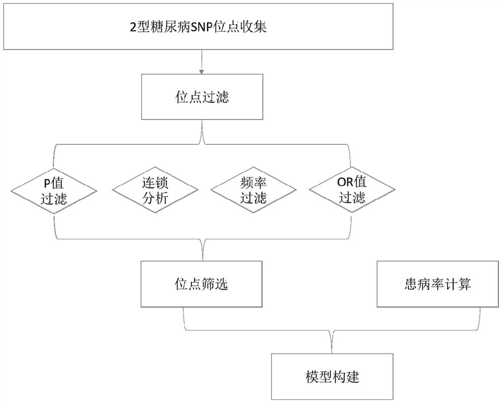 A method and system for constructing a type Ⅱ diabetes risk assessment model