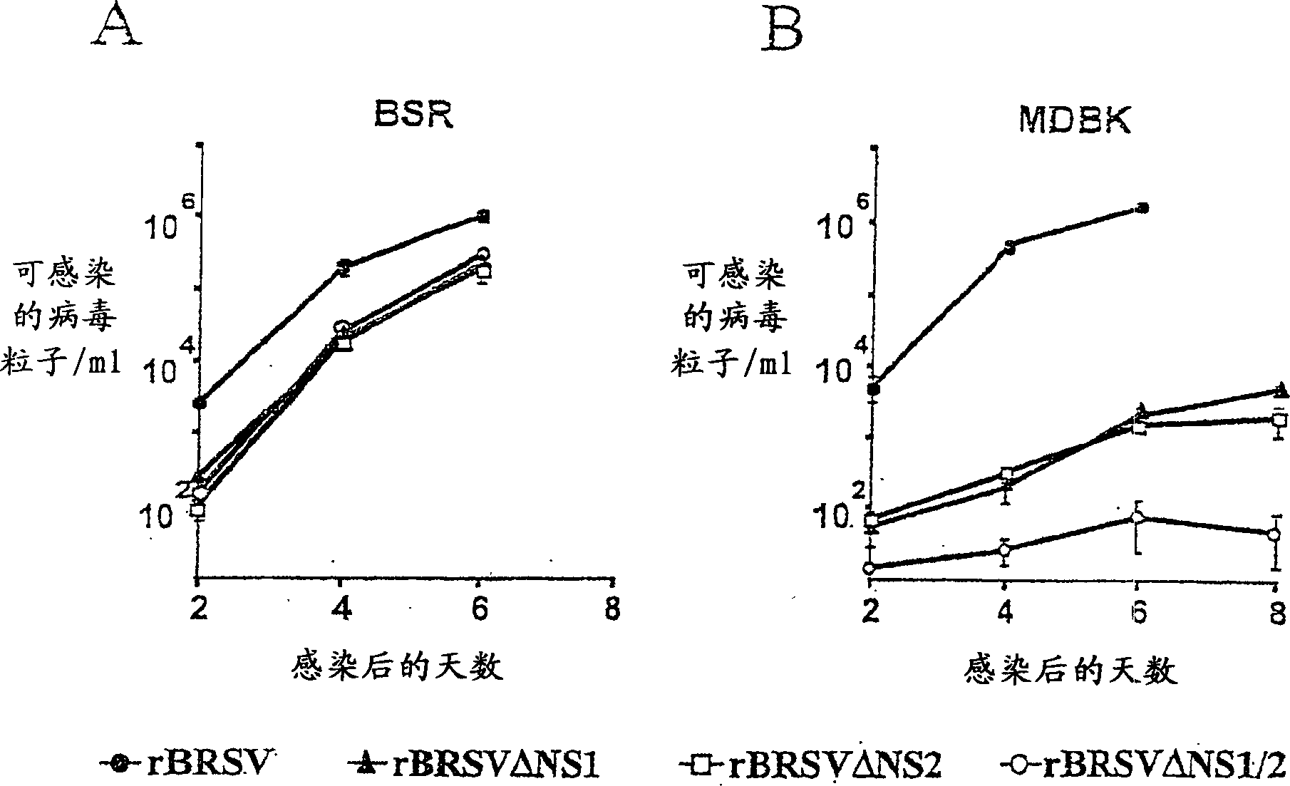 Pneumovirus NS proteins antagonising interferon (IFN) response