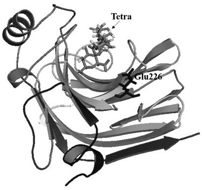 A mutant of alginate lyase and its application