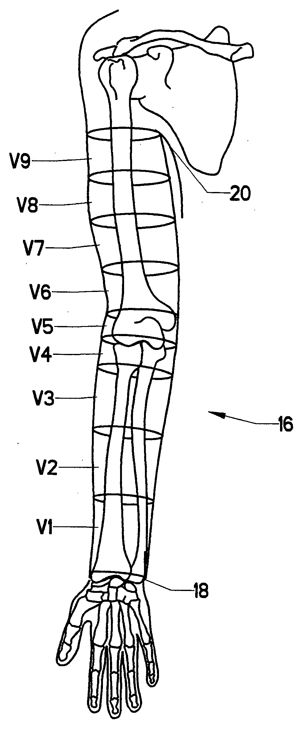 Method for physiological volume measurement and analysis for body volume visualization