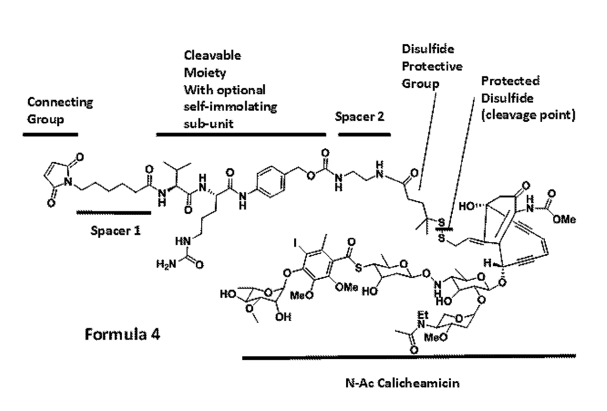 Calicheamicin constructs and methods of use