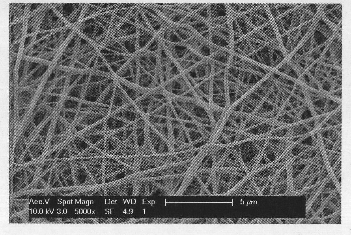 Three-dimensional porous nano-bracket based on fibrinogen and preparation method thereof