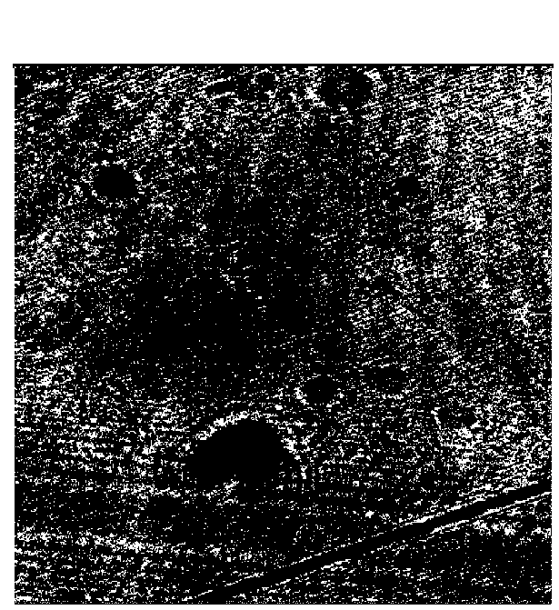Multi-stripe noise positioning and filtering method