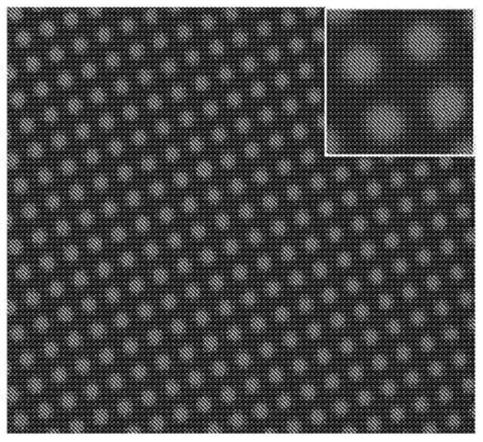 Compositions and methods relating to macrophages and/or monocytes with adhered particles