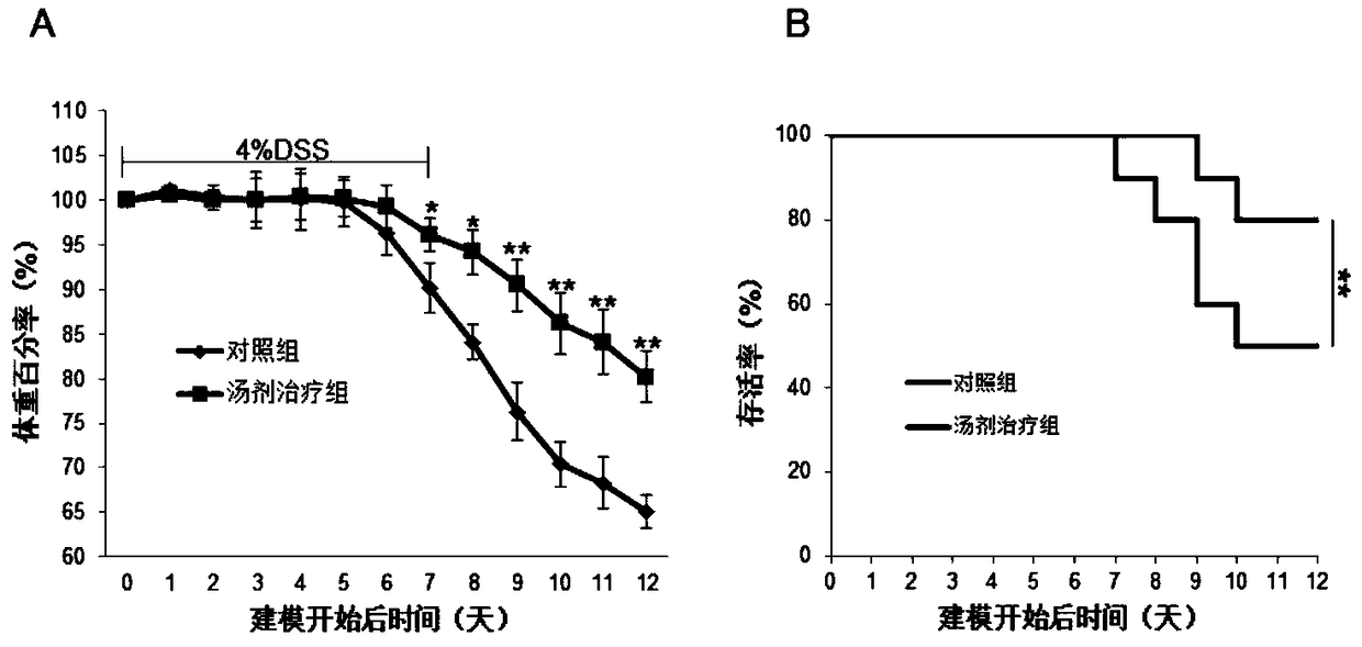 A compound traditional Chinese medicine composition for treating ulcerative colitis and its preparation method and preparation