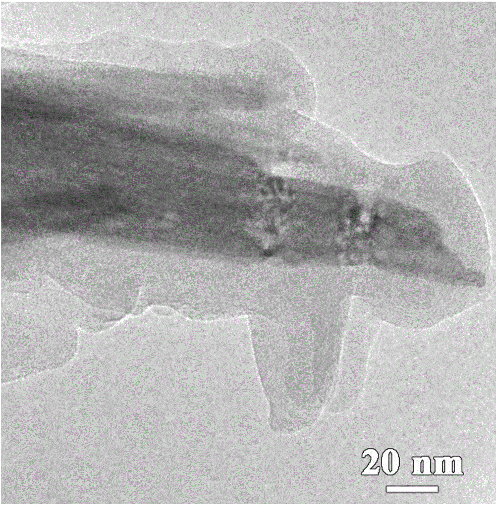 Tungsten trioxide/polyaniline core-shell nanowire array color-changing film and preparation method thereof