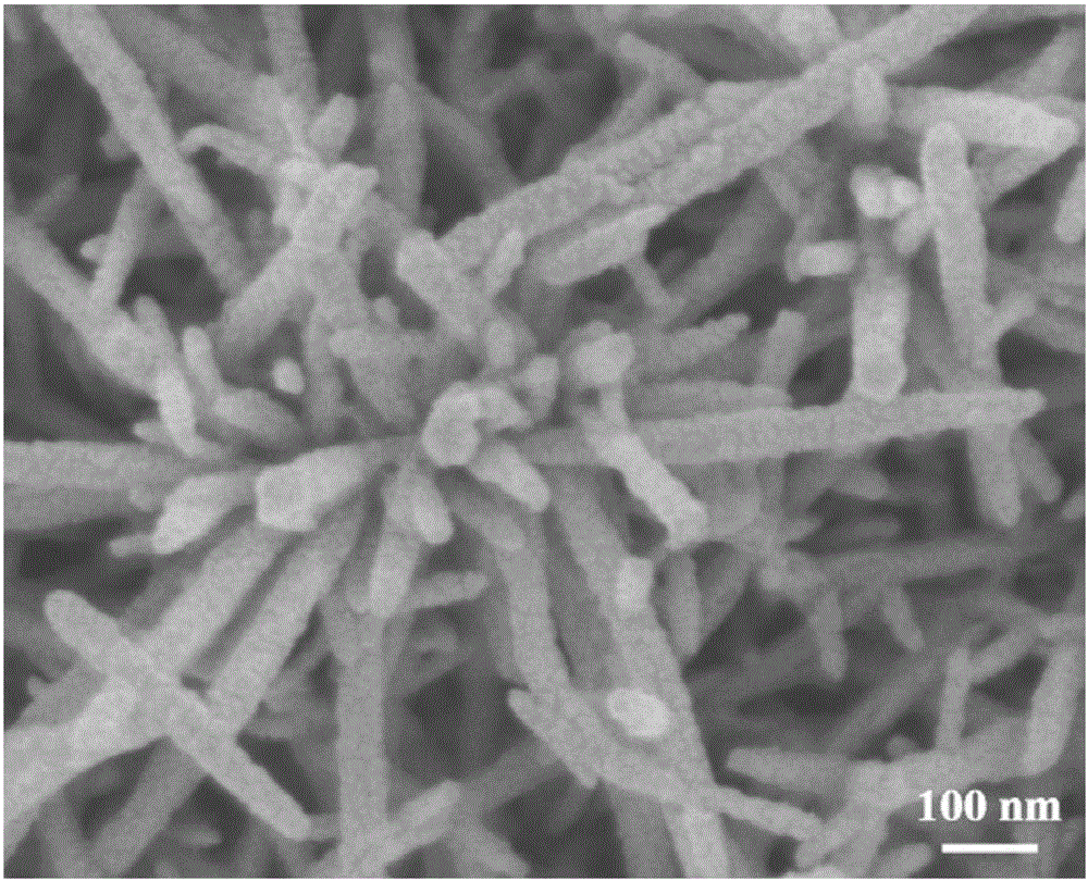 Tungsten trioxide/polyaniline core-shell nanowire array color-changing film and preparation method thereof