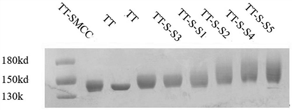 Vaccine for preventing novel coronavirus pneumonia COVID-19 and preparation method thereof