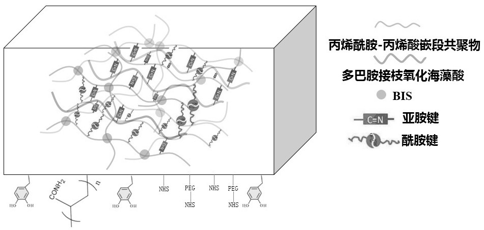 Adhesive self-repairing hemostatic membrane and preparation method thereof