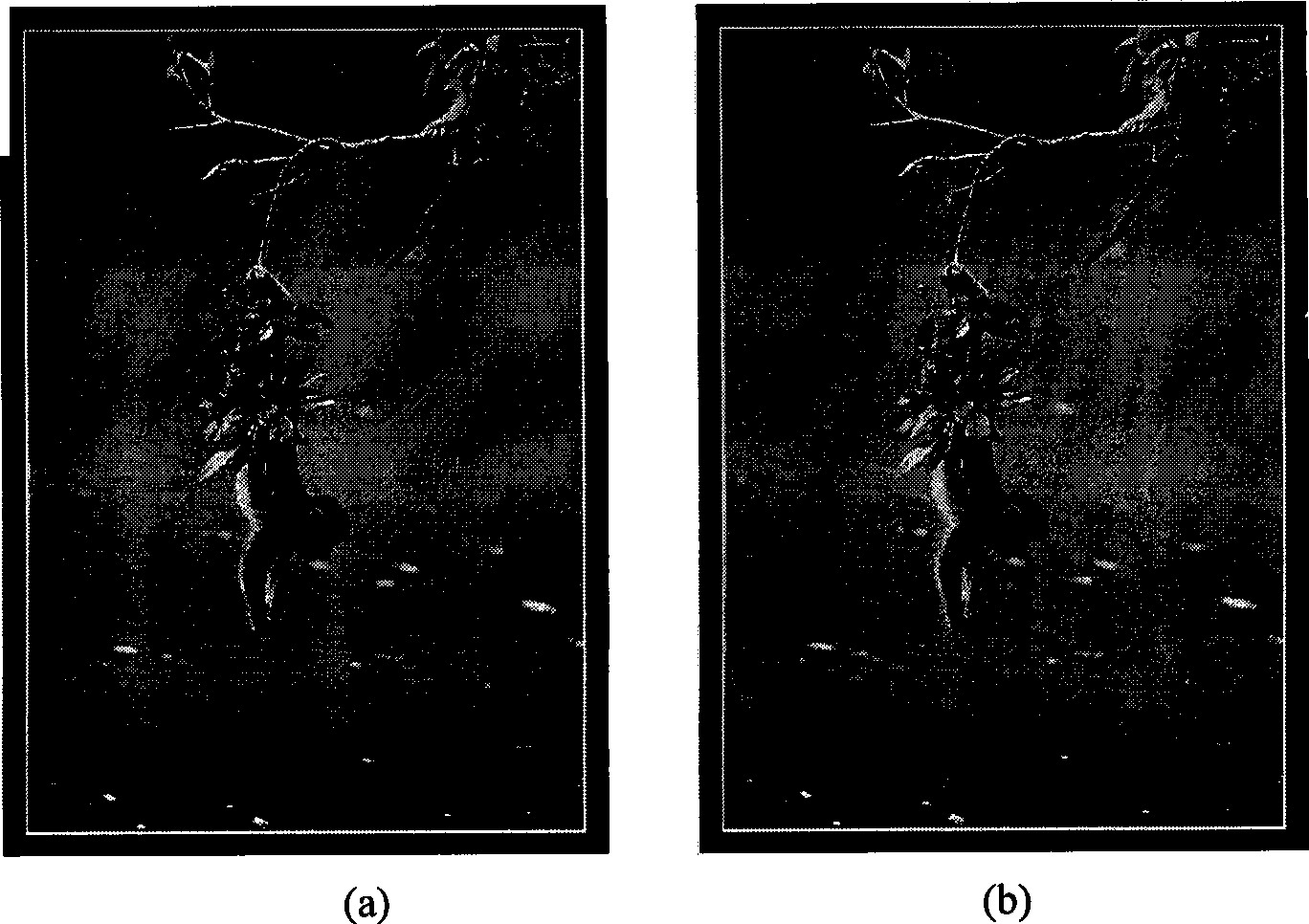 Method for watermarking hologram for resisting photo printing-scanning attack and hard copy cutting