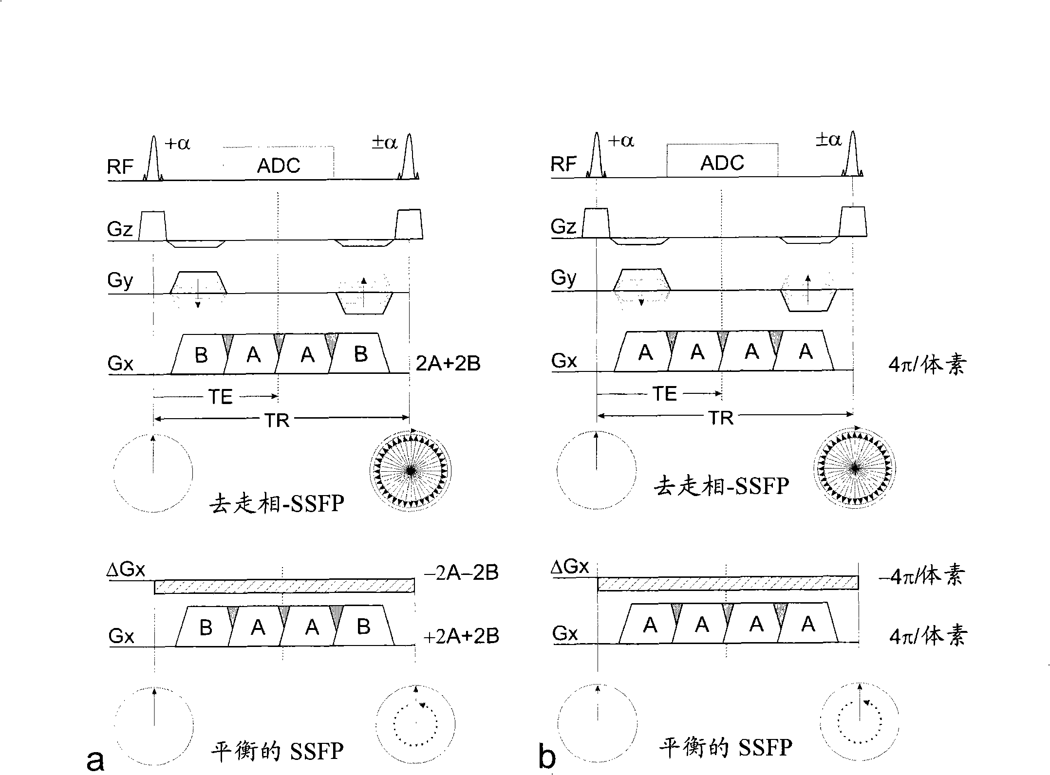 Magnetic resonance method for the detection and imaging of susceptibility related magnetic field distortions