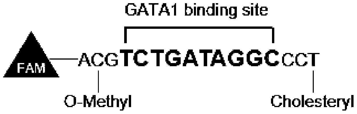 Oligodeoxyribonucleotide for relieving chronic visceral pain sensitivity of irritable bowel syndrome