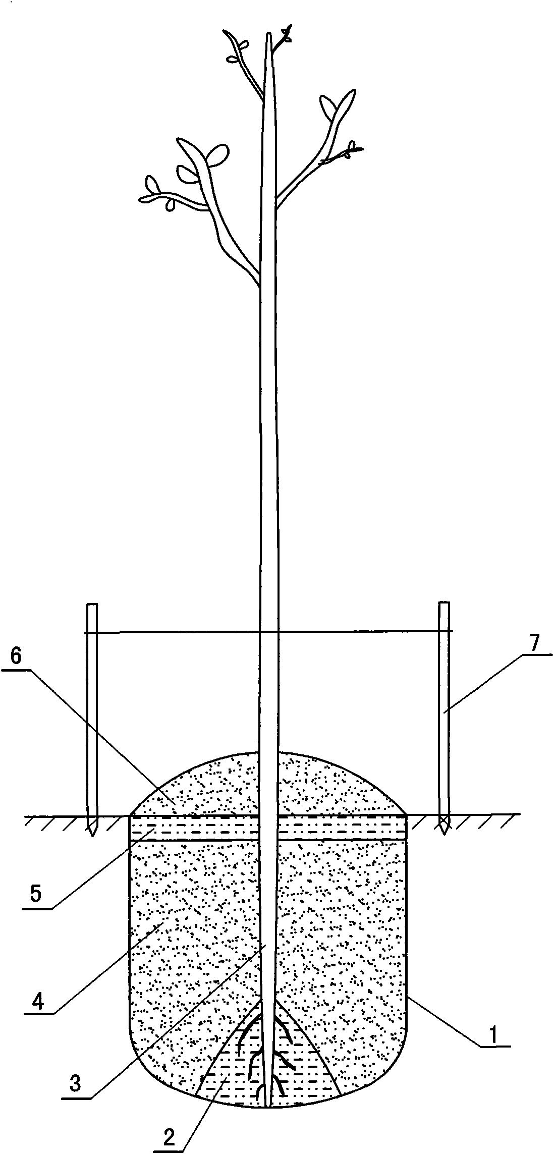 Double-layer sand inclusion planting method