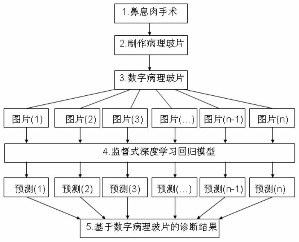 Classification method and system of chronic sinusitis based on digital pathology slides