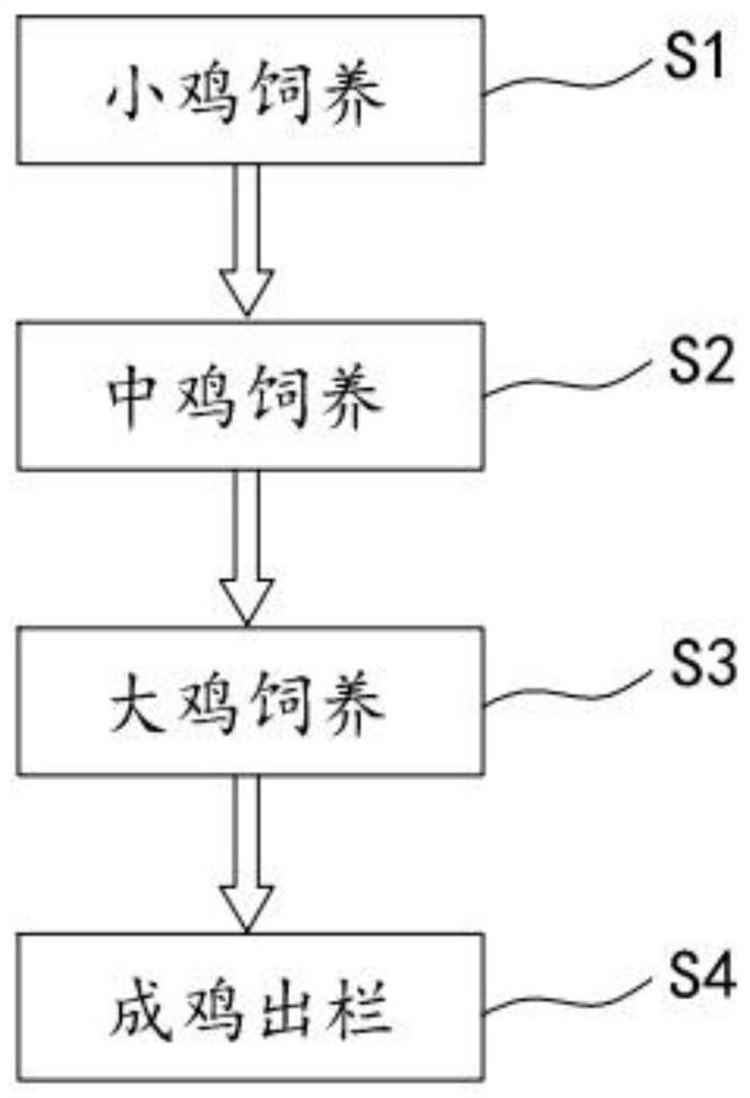 Feeding method of nutritious chicken and its feed formula