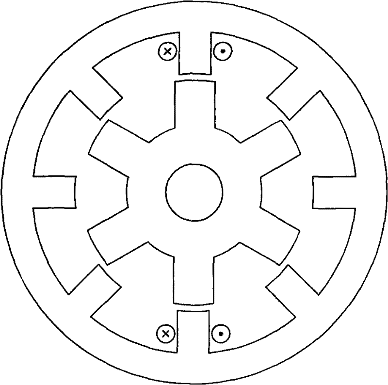 Dual-redundancy switch reluctance motor