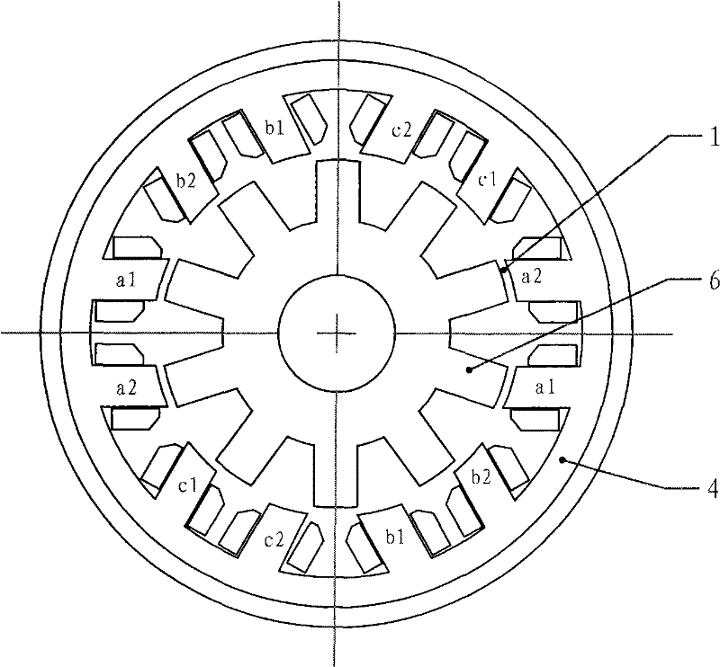 Dual-redundancy switch reluctance motor