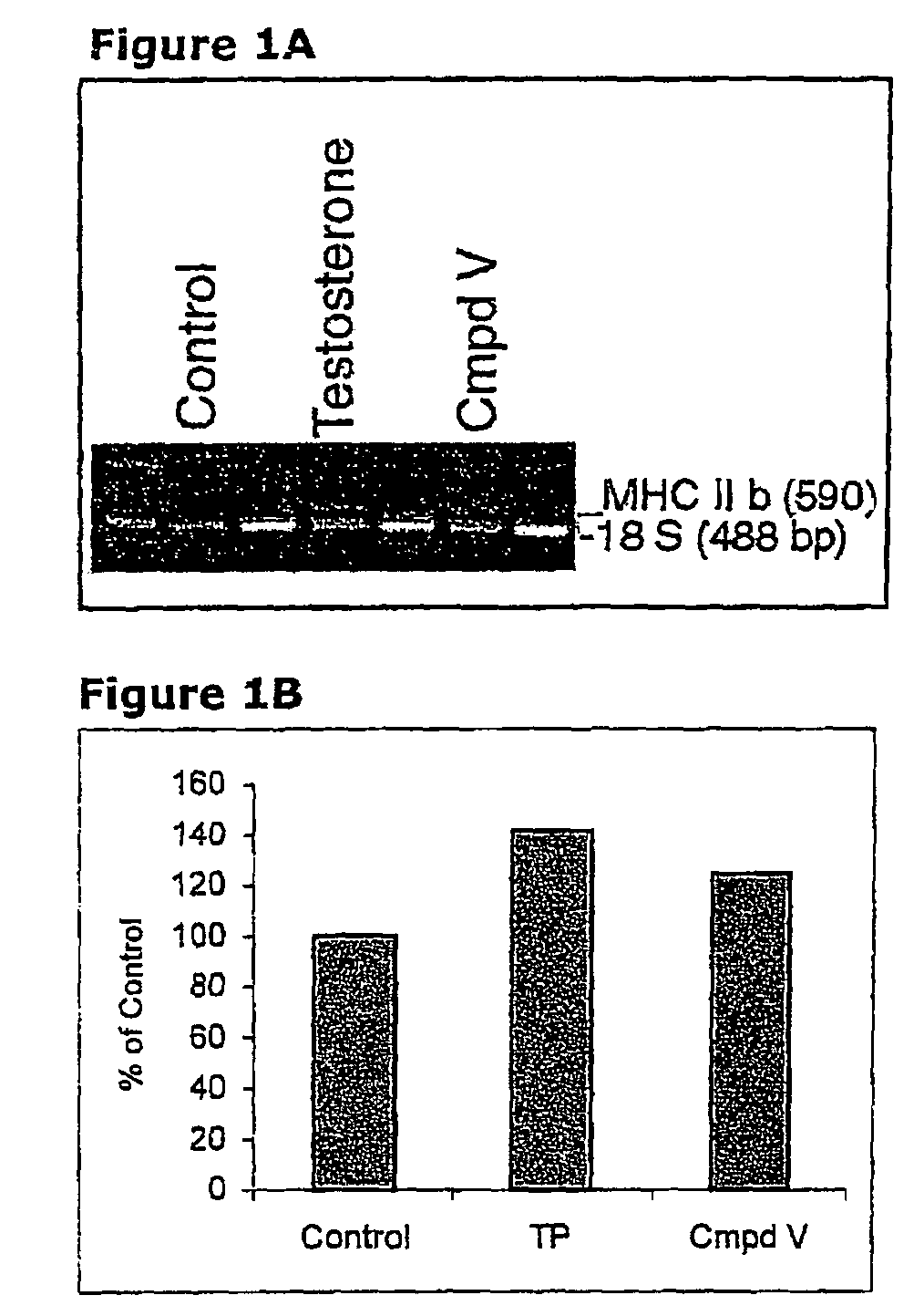 Treating muscle wasting with selective androgen receptor modulators